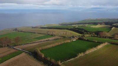 /international/pt/rua-arado-grande-santa-barbara-portugal-ilha-de-sao-miguel-azores-310107521120/