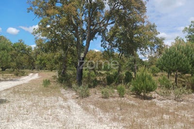 /international/pt/grandola-setubal-municipality-310108319431/