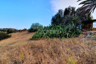 /international/pt/silves-faro-120085635750/