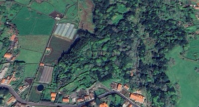 /international/pt/ilha-terceira-azores-310101034502/