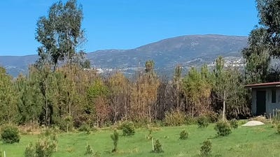 /international/pt/rua-de-fijo-de-cima-rebordosa-porto-310102367720/
