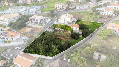 /international/pt/caminho-do-serrado-ilha-da-madeira-madeira-310101598046/