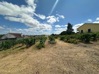 /international/pt/alcanhoes-santarem-santarem-310101106370/?lang=zh-tw