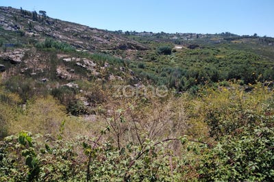 /international/pt/oliveira-do-hospital-coimbra-120086050876/