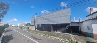 /international/pt/febres-coimbra-310101185021/?lang=zh-cn