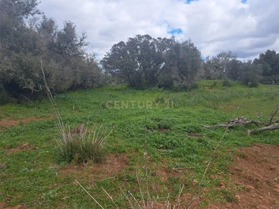 /international/pt/rua-de-centieiras-alcantarilha-faro-310105231248/