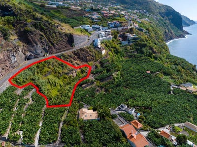 /international/pt/calheta-madeira-120088398967/