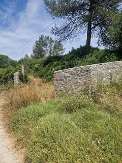 /international/pt/azeitao-sao-lourenco-e-sao-simao-setubal-municipality-310100857694/