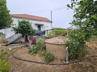 /international/pt/beco-ferreira-do-zezere-santarem-310100537019/