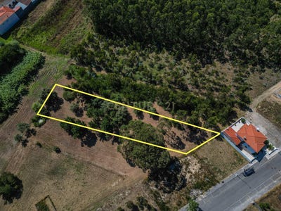 /international/pt/lavos-coimbra-310100365752/