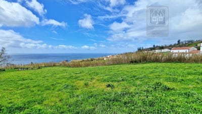 /international/pt/feteiras-azores-310103461256/