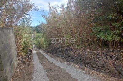 /international/pt/lagoa-sao-miguel-azores-310094918386/?lang=zh-tw