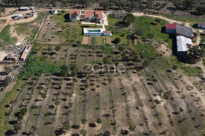 /international/pt/santiago-do-cacem-setubal-municipality-120076686547/