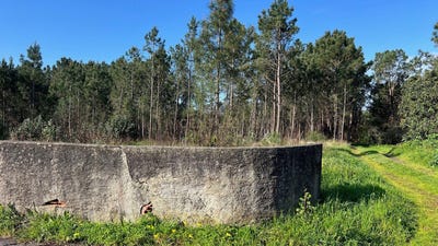 /international/pt/maceira-lisbon-310098103119/