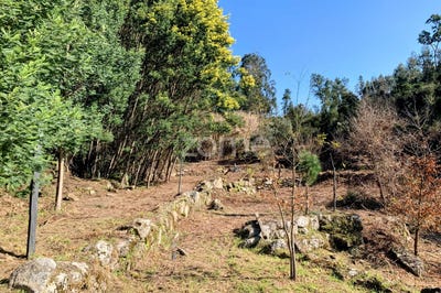 /international/pt/viseu-viseu-310098102221/