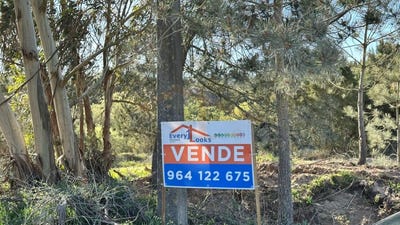 /international/pt/obidos-santa-maria-leiria-310106999371/