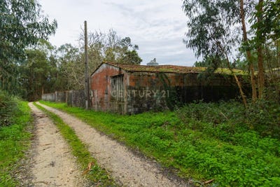 /international/pt/casal-dos-claros-amor-portugal-amor-setubal-municipality-310104447018/