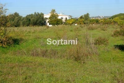 /international/pt/loule-faro-120086450697/