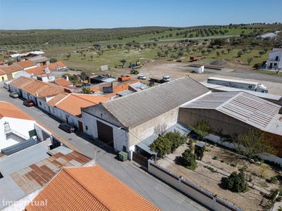 /international/pt/sao-mancos-e-sao-vicente-do-pigeiro-evora-district-310107640316/
