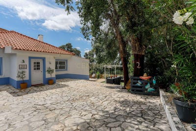 /international/pt/vale-de-santarem-santarem-310100295481/