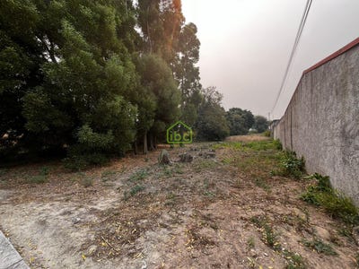 /international/pt/povoa-de-varzim-porto-310109122621/