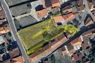 /international/pt/cantanhede-coimbra-310106412779/