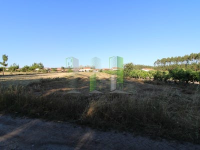 /international/pt/marinha-das-ondas-coimbra-310102746183/