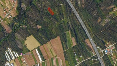 /international/pt/sao-joao-lisbon-310103449230/