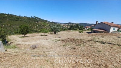 /international/pt/sao-pedro-de-tomar-santarem-310097462950/