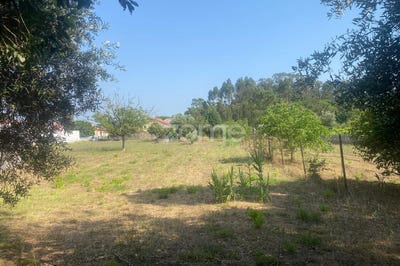 /international/pt/cantanhede-coimbra-310101274231/