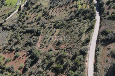 /international/pt/loule-faro-310097820472/