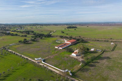 /international/pt/viana-do-alentejo-evora-310104633233/