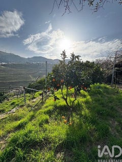 /international/pt/viseu-viseu-310106429128/