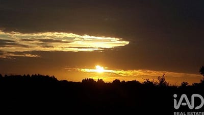 /international/pt/setubal-setubal-municipality-310101627308/