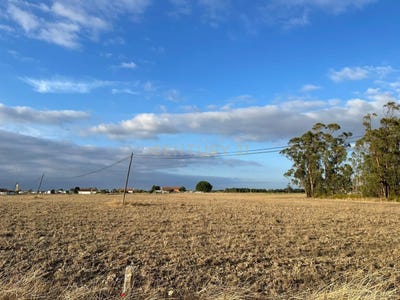 /international/pt/rua-do-cardal-7-2120-217-foros-de-salvaterra-portugal-salvaterra-de-magos-santarem-310102838304/