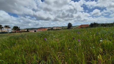 /international/pt/silves-faro-310106574601/