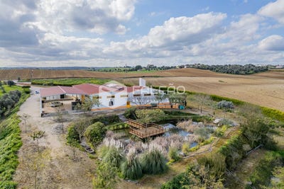 /international/pt/santarem-santarem-310097872506/