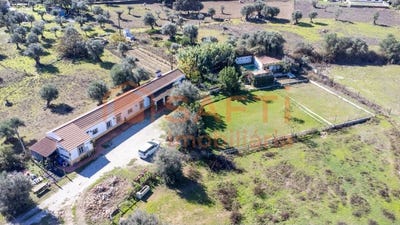 /international/pt/alcacovas-evora-310100485641/