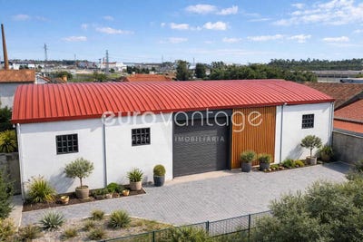 /international/pt/calvaria-de-cima-porto-de-mos-leiria-310108968797/