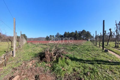 /international/pt/amares-braga-310097033174/?lang=zh-cn