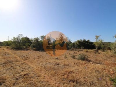 /international/pt/alcaria-cova-faro-faro-120086460335/