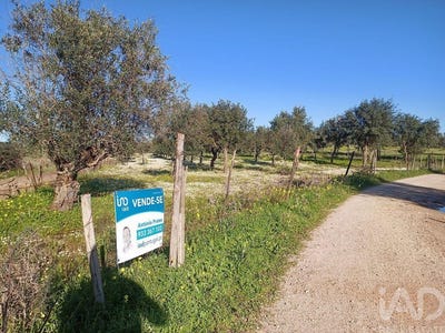 /international/pt/portalegre-portalegre-310108043128/