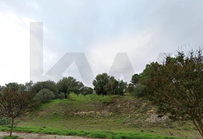 /international/pt/azambuja-lisbon-310100104203/