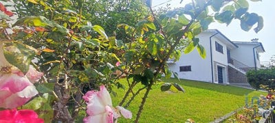 /international/pt/viana-do-castelo-viana-do-castelo-310100082265/