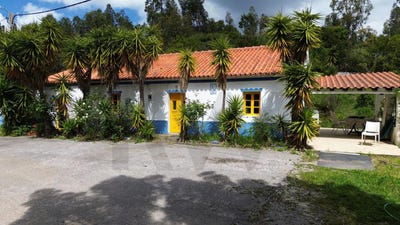 /international/pt/monchique-faro-310099219084/
