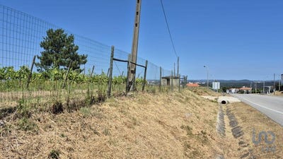 /international/pt/leiria-leiria-310100989452/