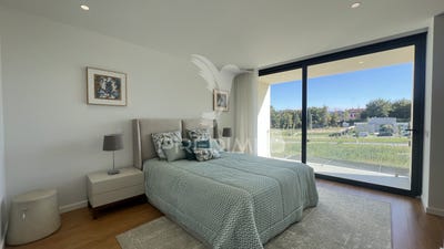 /international/pt/palmeira-braga-braga-310094696419/