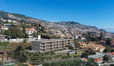 /international/pt/imaculado-corao-de-maria-madeira-310108597192/
