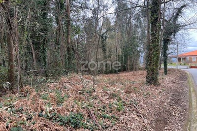 /international/pt/ponte-de-lima-viana-do-castelo-310107410333/