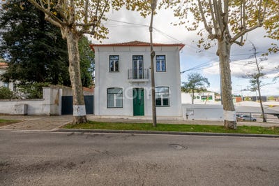 /international/pt/anadia-aveiro-310095939235/?lang=pt